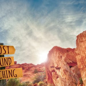 travel counseling