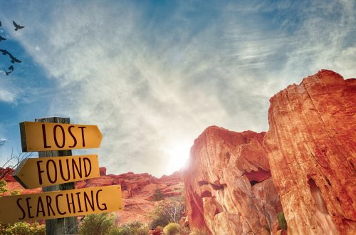 travel counseling