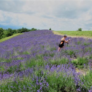 Sale San Giovanni lavanda